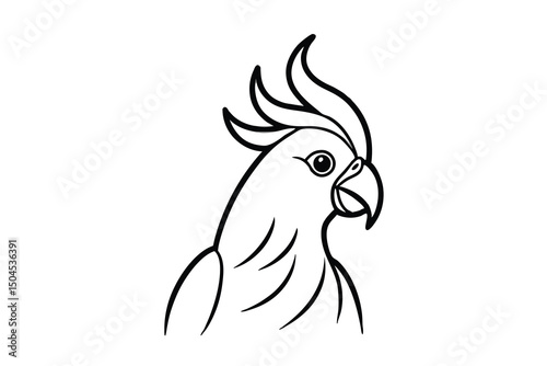 Elegant line art cockatoo bird head profile illustration
