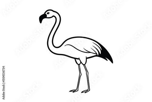 Elegant flamingo bird outline illustration tropical wildlife