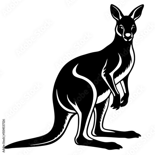 kangaroo vector illustration