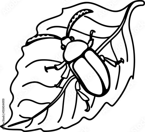 Beetle on leaf line art insect illustration, nature drawing, isolated black and white design