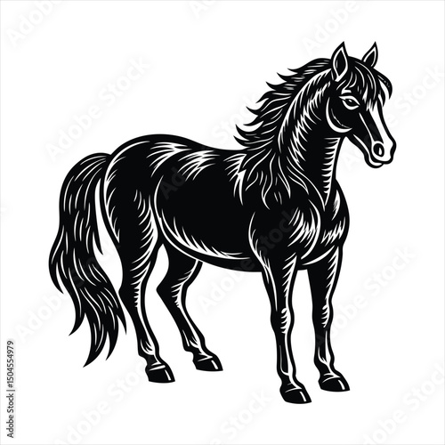 black horse vector illustration