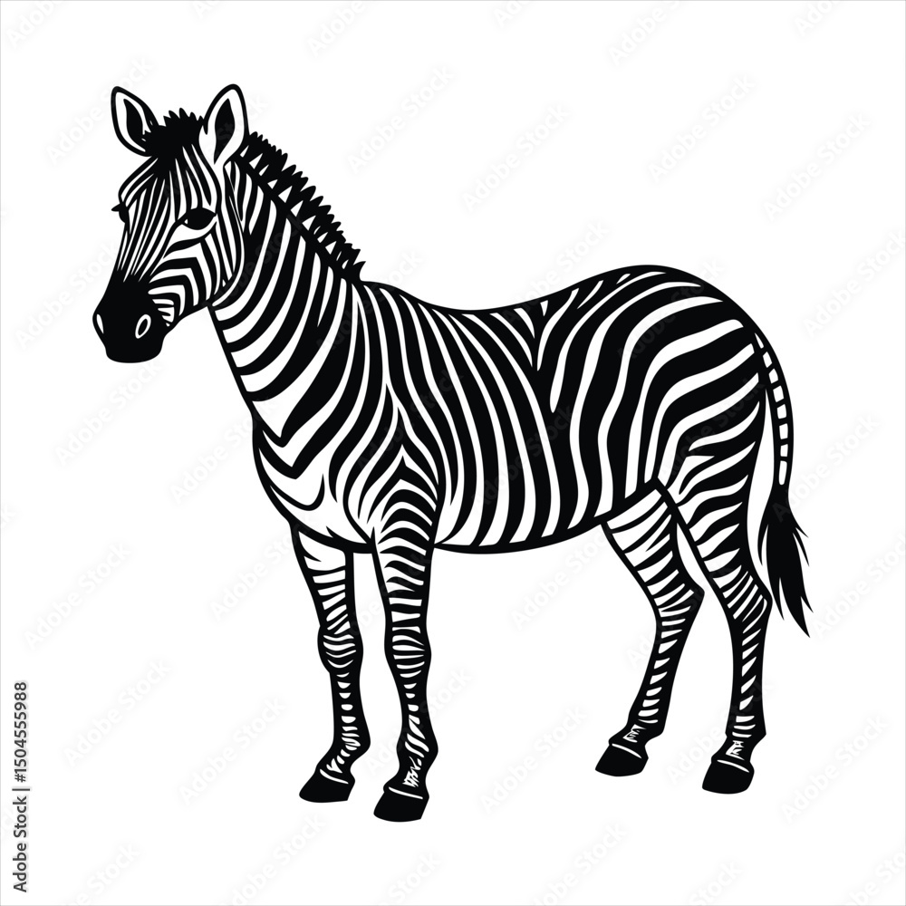 Fototapeta premium zebra vector illustration