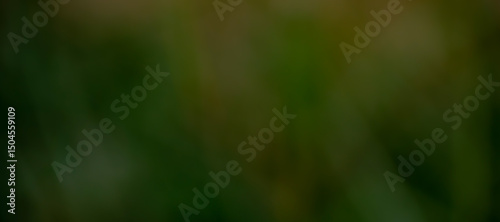 Slika na platnu This image features a rich, earthy olive green gradient with hints of moss, deep forest green, and warm golden undertones