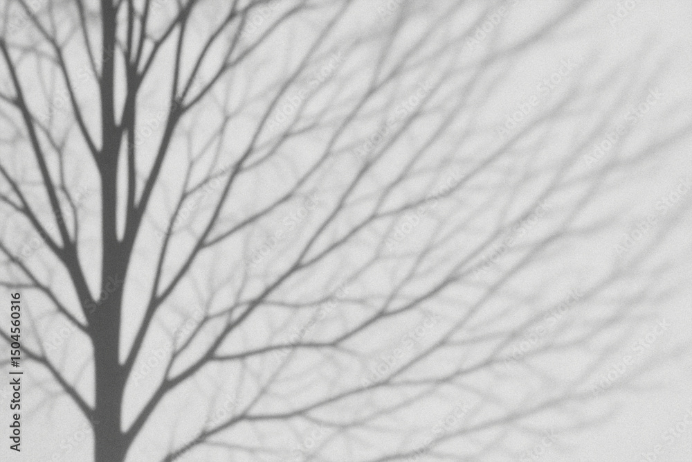 Fototapeta premium Photo of Shadows of tree branches create an abstract monochrome pattern