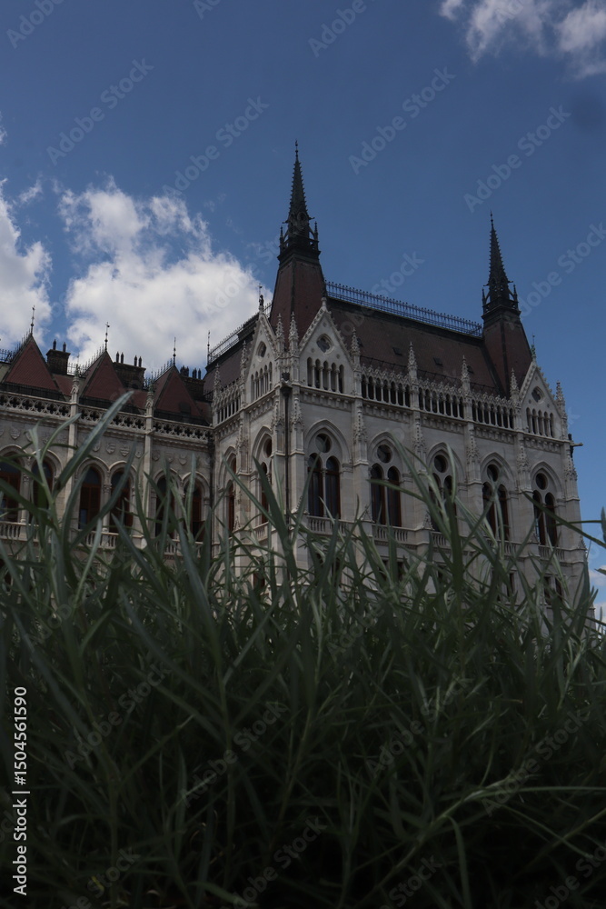 Fototapeta premium the castle in the city