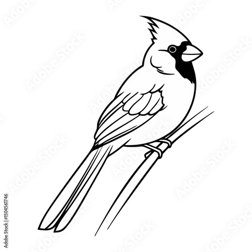 Simple Cardinal Bird Vector Illustration