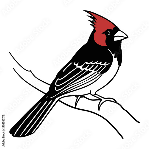 Cardinal in Nature Scene Vector Illustration