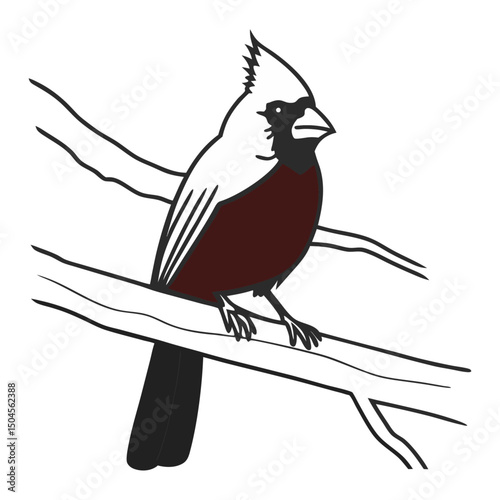 Cardinal Bird Outline Vector Illustration