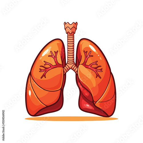 Lung human anatomy biology organ body system health care and medical hand drawn cartoon vector art illustration
