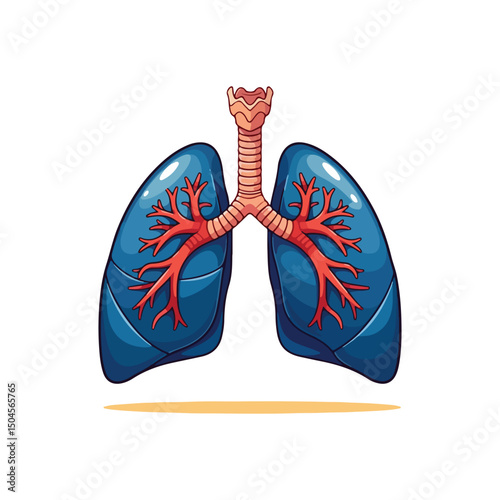 Lung human anatomy biology organ body system health care and medical hand drawn cartoon vector art illustration