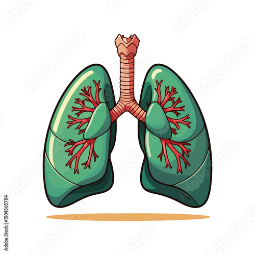 Lung human anatomy biology organ body system health care and medical hand drawn cartoon vector art illustration