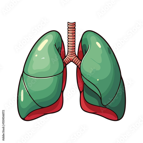 Lung human anatomy biology organ body system health care and medical hand drawn cartoon vector art illustration