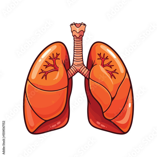 Lung human anatomy biology organ body system health care and medical hand drawn cartoon vector art illustration