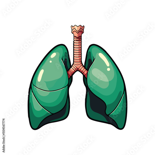 Lung human anatomy biology organ body system health care and medical hand drawn cartoon vector art illustration