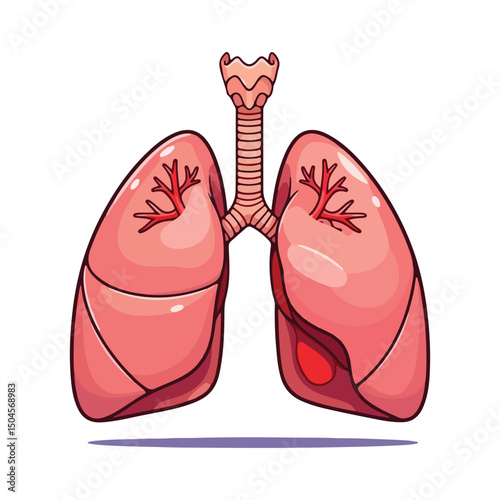 Lung human anatomy biology organ body system health care and medical hand drawn cartoon vector art illustration