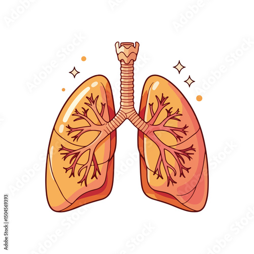 Lung human anatomy biology organ body system health care and medical hand drawn cartoon vector art illustration