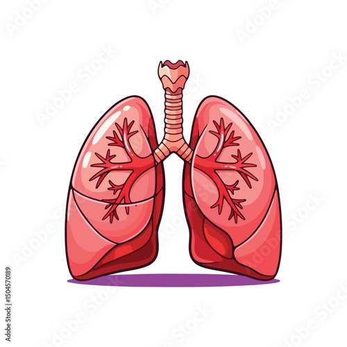 Lung human anatomy biology organ body system health care and medical hand drawn cartoon vector art illustration