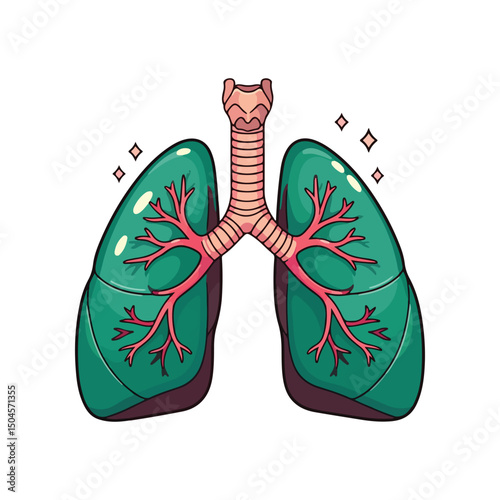Lung human anatomy biology organ body system health care and medical hand drawn cartoon vector art illustration