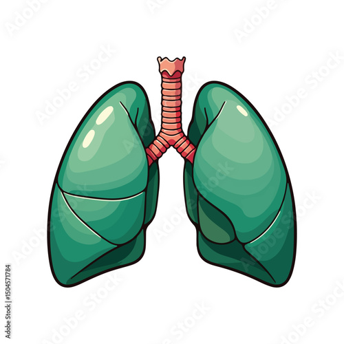 Lung human anatomy biology organ body system health care and medical hand drawn cartoon vector art illustration