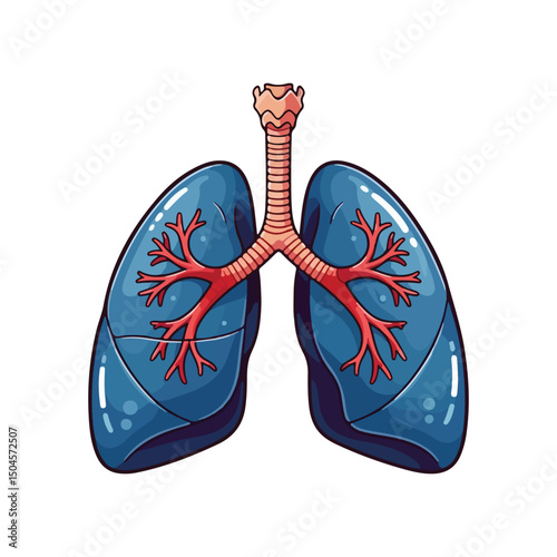 Lung human anatomy biology organ body system health care and medical hand drawn cartoon vector art illustration
