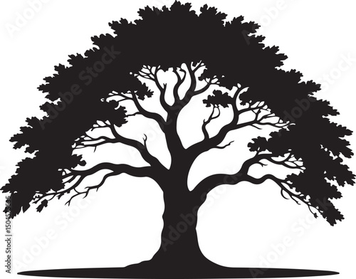 Black and white silhouette of a large oak tree with expansive branches