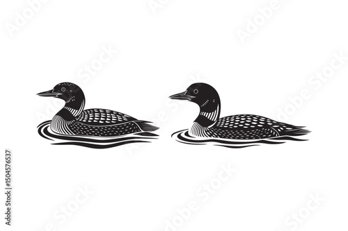 Common Loon Vector Illustration Stylized Black and White Water Birds Swimming