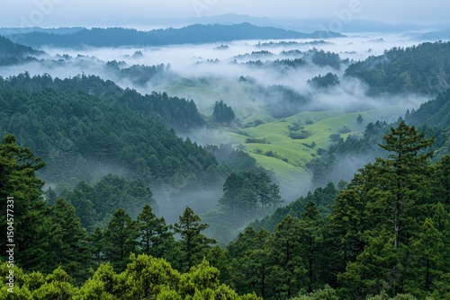 Misty morning landscape with rolling hills and dense forest nature photography serene environment aerial view