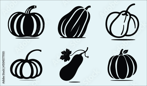 Detailed Vector Illustration of a Butternut Squash with Realistic Textures and Colors
