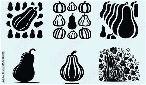 Detailed Butternut Squash Vector Illustration for Culinary Designs and Autumn Harvest Themes