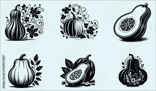 Detailed Butternut Squash Vector Illustration with Vibrant Colors for Culinary and Autumnal Designs