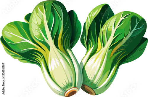 Fresh halved raw bok choy close up on, A halved bok choy with crisp stalks on a white background 