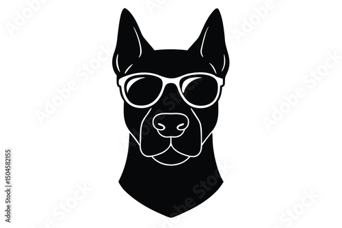 black and white dog