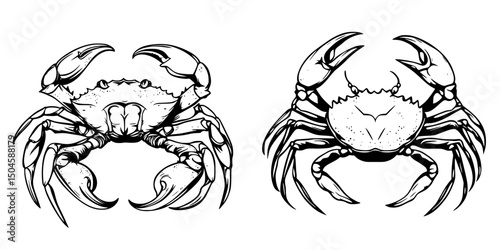 Detailed black and white icon set of crabs showcasing various positions and features