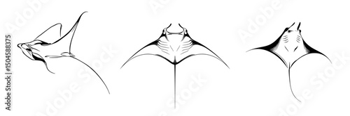 Unique icon set featuring illustrations of manta rays showcasing different perspectives and movements