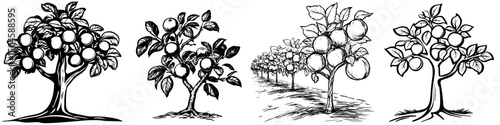 Illustration of various fruit tree icons showcasing design styles and details suitable for organic themes