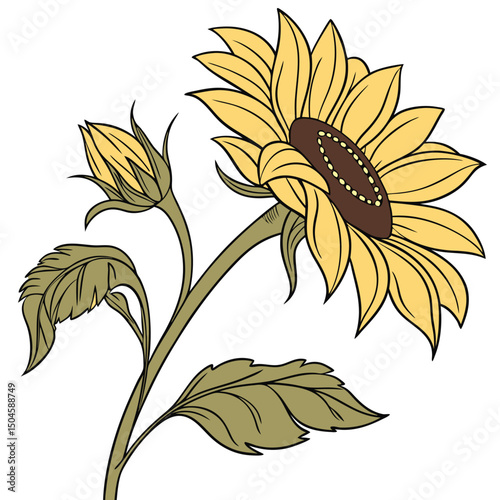 Sunflower vector art on white background. flower icon logo, sunflower vector icon and logo. Adobe Illustrator Artwork