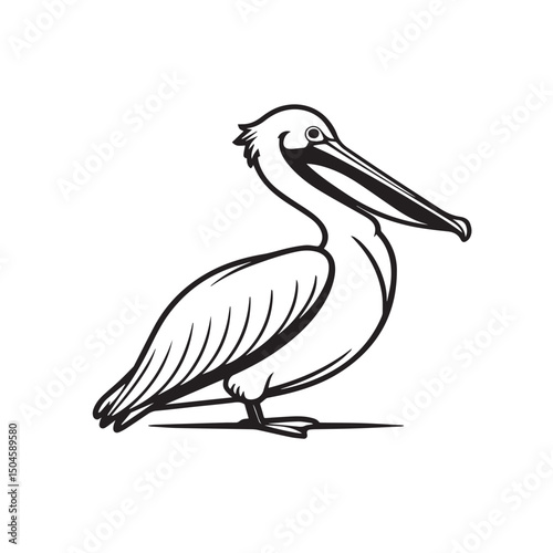 Monochrome Pelican Line Drawing Illustration