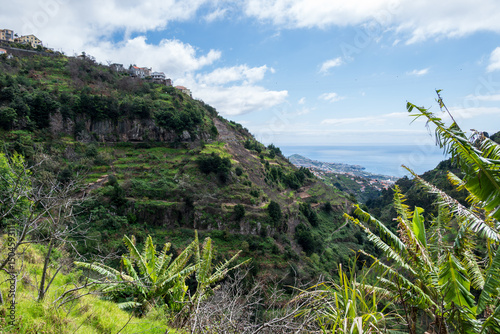 View from levada in Funchal.