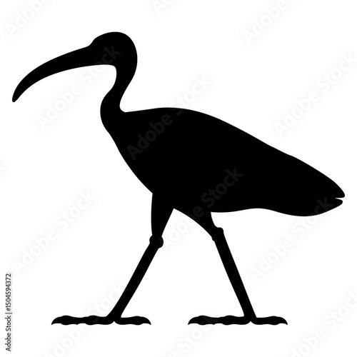 Standing ibis bird. Ethnic ancient Egyptian animal design. Black silhouette on white background.