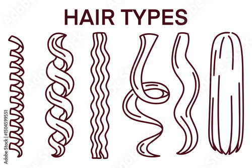 Black and white line art chart showing a variety of hair textures from curly and coily to straight strands. Great as printable for diversity education, beauty studies, or coloring sheets