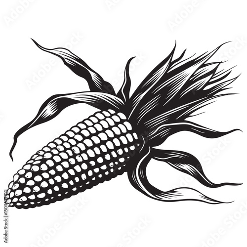 Corn silhouette vector illustration isolated on a white background