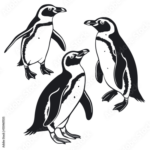 Cute cartoon penguins on a white background with snow and ice, a winter illustration of arctic animals