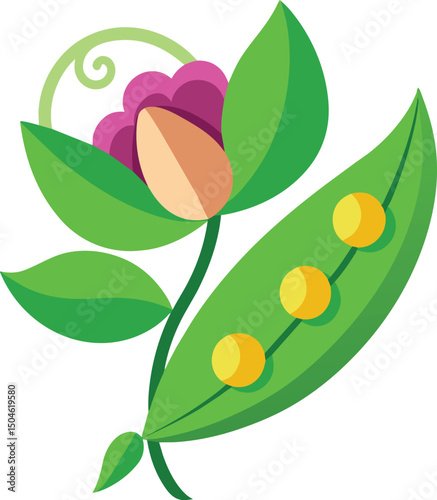 Pea Flower and Pod Fresh Garden Vegetable Icon
