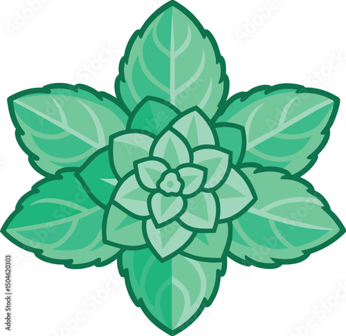 Stylized Mint Leaf Vector Illustration Fresh Herb Ingredient