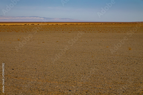 Plakor, alkali flat, flat interfluve (flat stretch) of desert is the bottom of a dried-up periodic lake. Rare pioneer vegetation inhabits the sands until the next rain in a few years