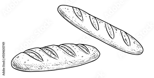 Bread different types hand drawn doodle outline icon set. Bread engraving, line art. Wheat products, baked goods, bakery. Vector illustration