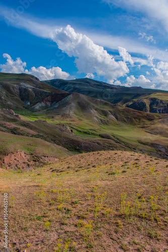 Turkey, Middle East: view of the breathtaking landscape on the dirt and winding road on the plateau around Mount Ararat, Agri Dagi, with rocky peaks, hills, grassland and flowers near the Ishak Pasha 