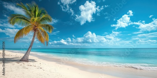 Beautiful palm tree on tropical island beach on background blue sky with white clouds and turquoise ocean on sunny day