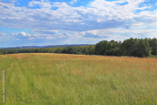 Fototapeta Naklejka Na Ścianę i Meble -  spring landscape with forest and clouds