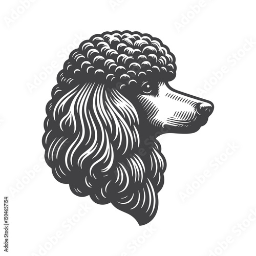 Vintage Hand-Drawn Poodle Head Side View Illustration – Elegant Engraved Style Vector for T-Shirts, Posters, Stickers, and Pet Lover Apparel